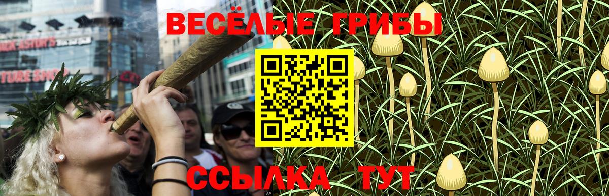 Псилоцибиновые грибы ЛСД Ревда